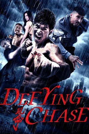 Defying Chase (2018) Hindi Dual Audio [900MB]